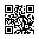 QR CODE 317