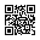 QR CODE 329