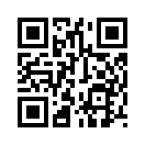 QR CODE 344