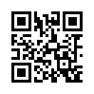 QR CODE 461