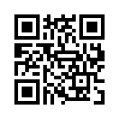 QR CODE 494