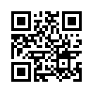 QR CODE 316