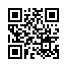 QR CODE 494