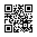 QR CODE 501