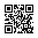 QR CODE 519