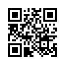 QR CODE 538