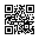 QR CODE 677