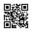 QR CODE 810