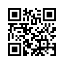 QR CODE 30