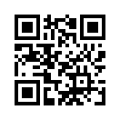 QR CODE 53