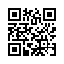 QR CODE 81