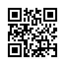 QR CODE 95