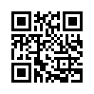 QR CODE 301