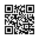 QR CODE 309
