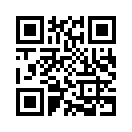 QR CODE 329