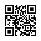 QR CODE 394
