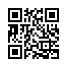 QR CODE 407