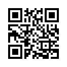 QR CODE 411