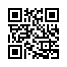 QR CODE 461