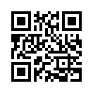 QR CODE 462