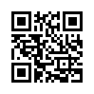 QR CODE 466