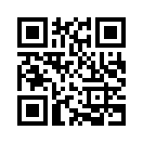 QR CODE 501