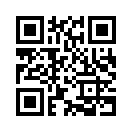 QR CODE 510