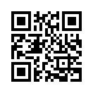 QR CODE 529