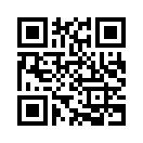 QR CODE 771