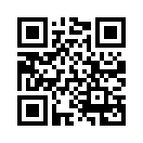 QR CODE 31