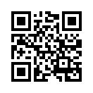 QR CODE 42