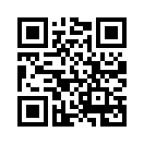 QR CODE 53