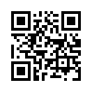 QR CODE 329