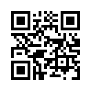 QR CODE 336