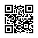 QR CODE 313