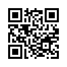 QR CODE 336