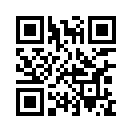 QR CODE 447