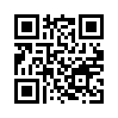 QR CODE 461
