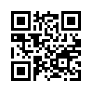QR CODE 511