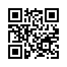 QR CODE 515