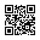 QR CODE 519