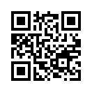 QR CODE 529