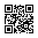 QR CODE 734