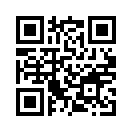 QR CODE 856