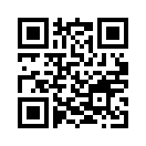 QR CODE 993
