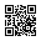 QR CODE 53