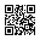 QR CODE 31