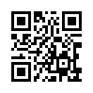 QR CODE 317