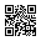 QR CODE 329