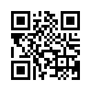 QR CODE 336